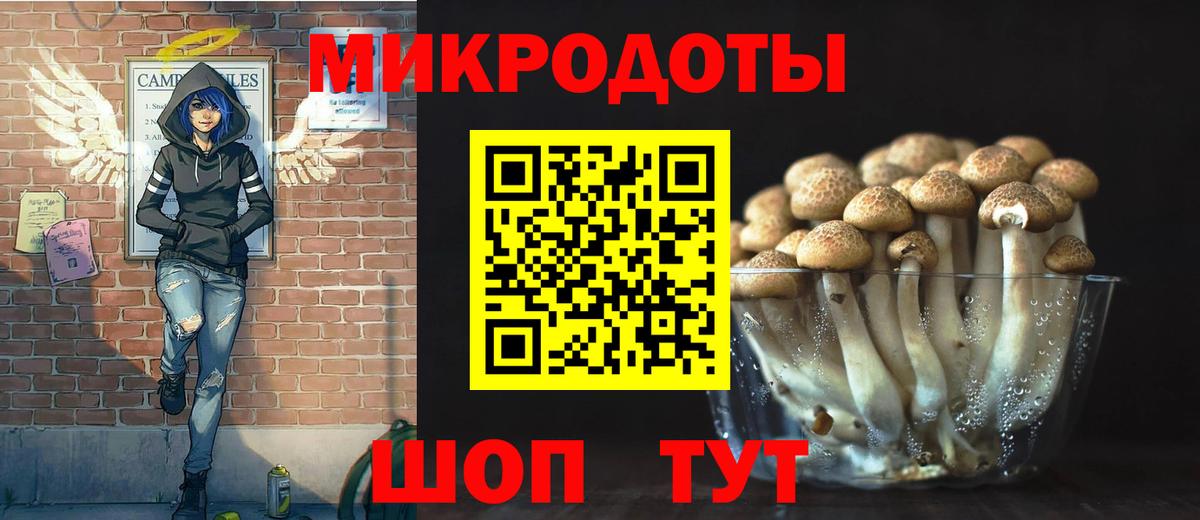 Абинск  даркнет сайт  Галлюциногенные грибы Psilocybine cubensis  Вход с VPN  Галлюциногенные грибы Psilocybine cubensis 